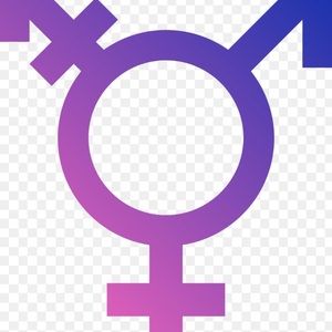 Meet your Posher, Lynn